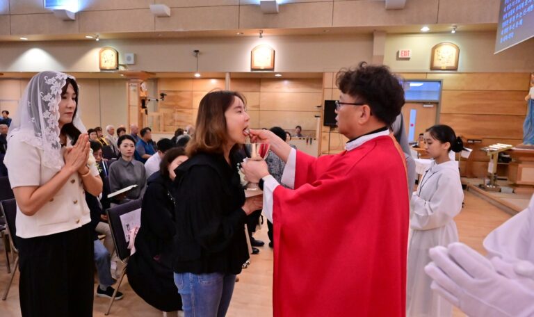 견진성사2026 (53)