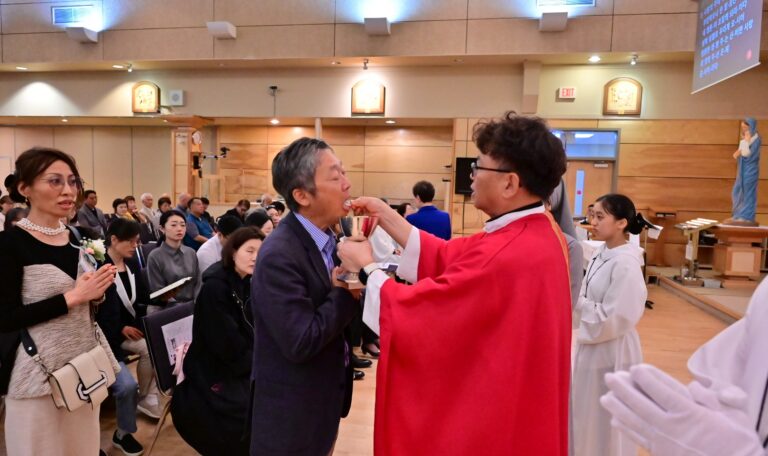 견진성사2026 (56)