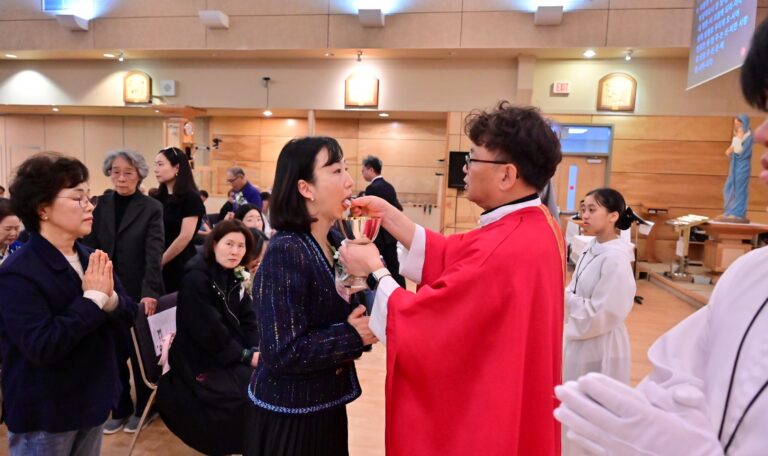 견진성사2026 (62)